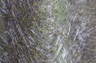 Fringford fibreglass roof work